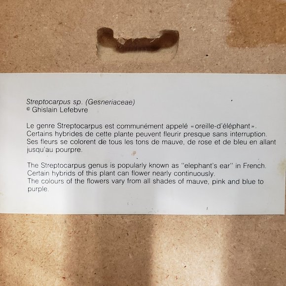 ART Botanical Floral Prints in Lavender Green Set of 3 - Picture 9 of 11